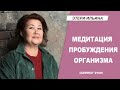 Медитация пробуждения организма и запуска процесса естественного восстановления на клеточном уровне