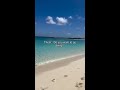 POV: You said "No" to skiing and "Yes" to The Bahamas
