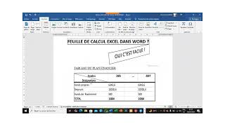 TABLEAU EXCEL A DOUBLE ENTREE DANS MICROSOFT WORD