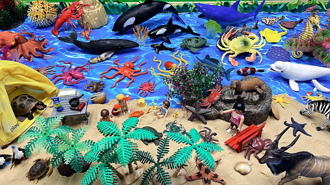 Diorama Ocean World With Sea Animals! Dolphin shark octopus starfish crab