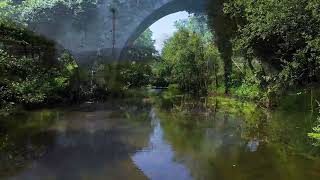 Quinta Vale de Cambra