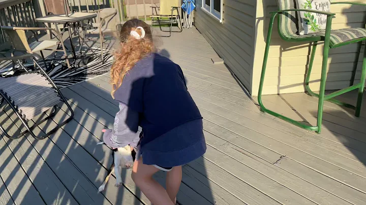 Baby gets attacked by dog