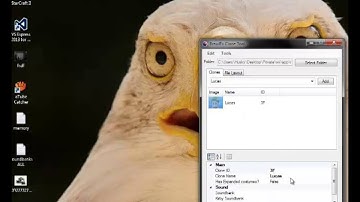 BrawlEx Clone Tool + CSS expansion [tutorial]