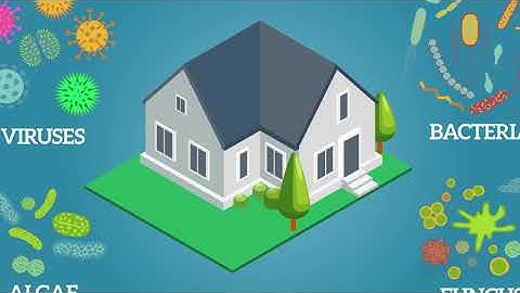 How a UV Light for HVAC Systems Work