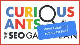 What Should a robots.txt File Contain