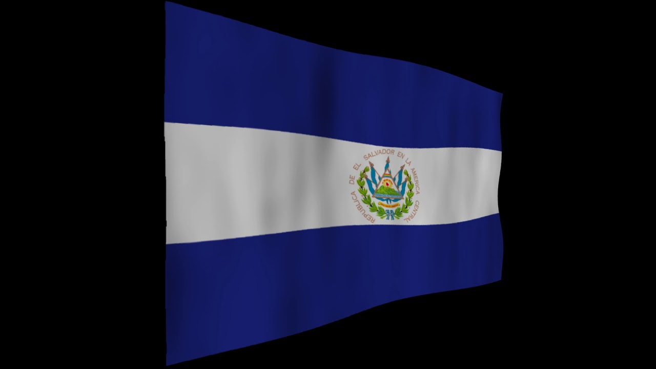 エルサルバドル国旗70×105cm - 5