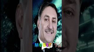 Vali Vijelie  Mama Mea best hit shortsviralmanele