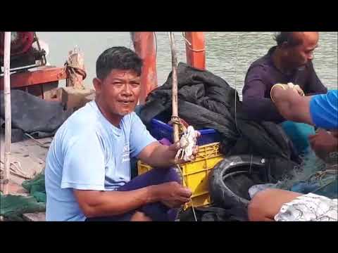 สื่อวิดีทัศน์..คลิก