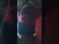 pov cuando juego con mis peluches lo que sienten mis peluches