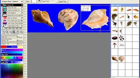 TwistedBrush Tutorials: Clips - Introduction