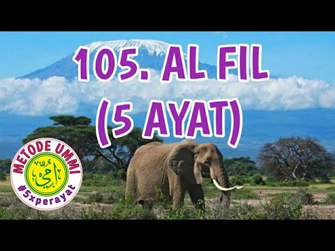 Al Fil Metode Ummi, 5x ulang per ayat | Juz 30