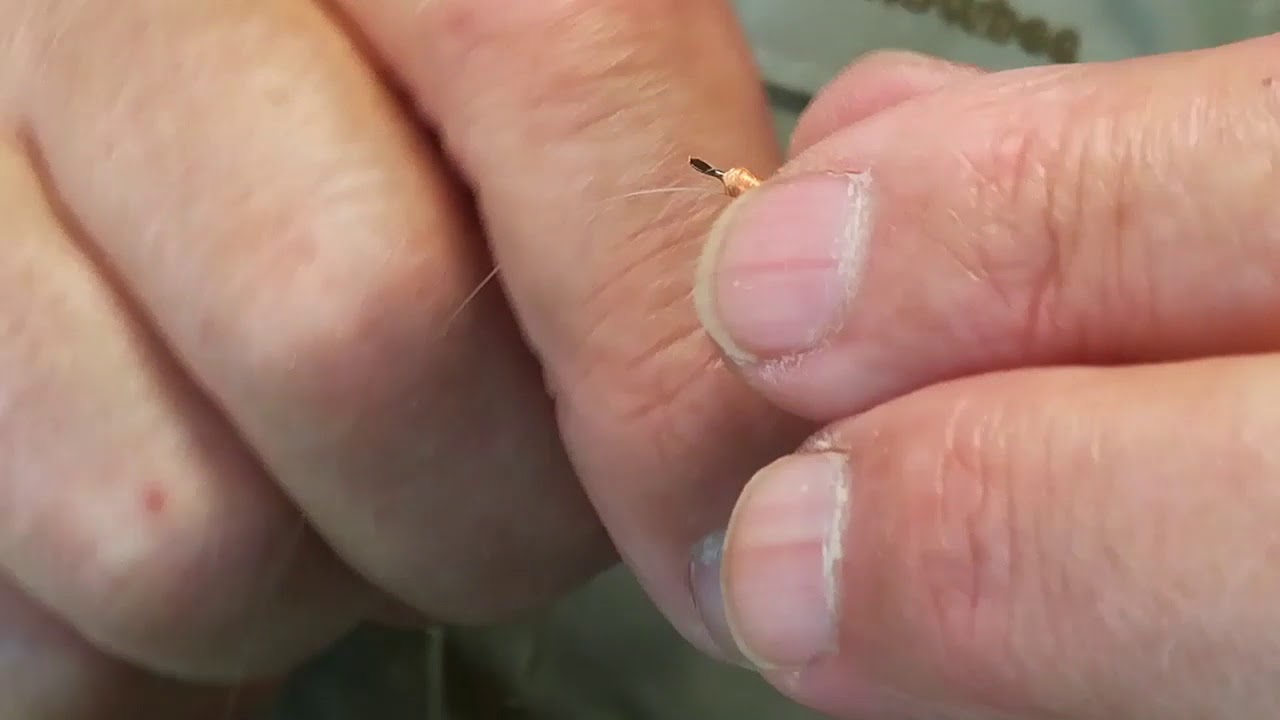 Miguelina mosca ahogada