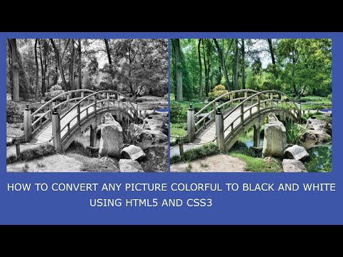 Create Black and white image using html5 and css3 in 2020 | UZZAL PAHAN