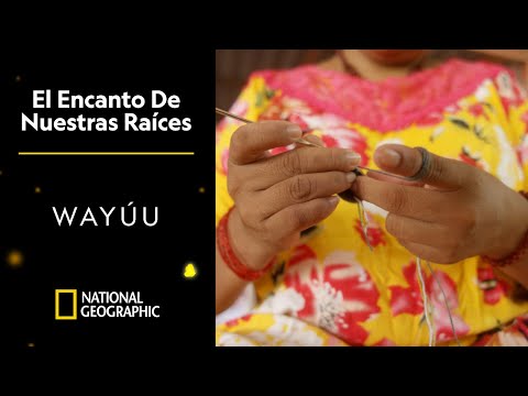 El Encanto de Nuestras Raíces: Wayúu | National Geographic