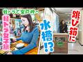 【三田悠貴の軽トラ旅】室戸市で超豪華なキンメ丼!イルカとふれあい体験も?摩訶不思議な廃校水族館?【四国一周旅】