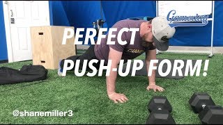 Push-Up Tutorial! - Both Sides of the Ball - Gameday Baseball