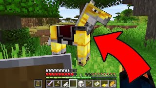 ЭТОТ КОНЬ УКРАЛ МОИ ВЕЩИ! | Minecraft