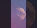 自分を嫌いな人に聴いてほしい曲Yobahi 「何者にもなれないこの世界の片隅で」#japanesemusic#オリジナル曲 #歌詞動画