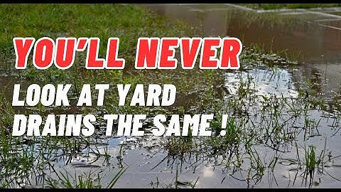 Best Catch Basin for Your Yard Drainage