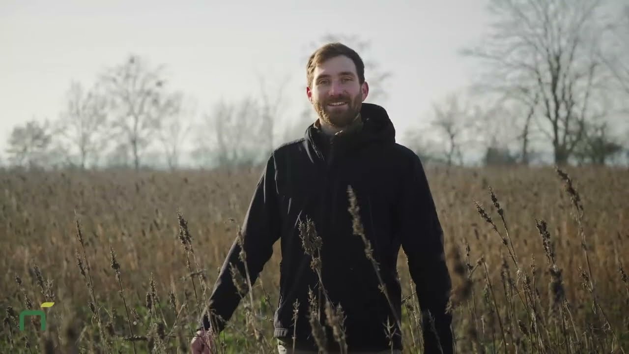 Winterhanf anbauen & ernten – Erfahrungsbericht aus Brandenburg | Praxis-Tipps & Fakten