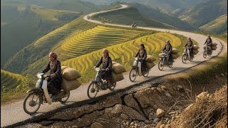 The Hidden Struggle Behind Vietnam’s Stunning Rice Fields