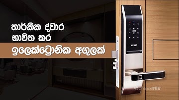 තාර්කික ද්වාර | logic gates | ඉලෙක්ට්‍රොනික වැඩසටහන්| Electronic Programme