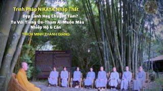Trình Pháp NIKAYA Nhập Thất-Dẹp Cảnh Hay Chuyển Tâm?Tu Với Tiếng Ồn-Tham Ái Muôn Màu-Nhiếp Hộ 6 Căn