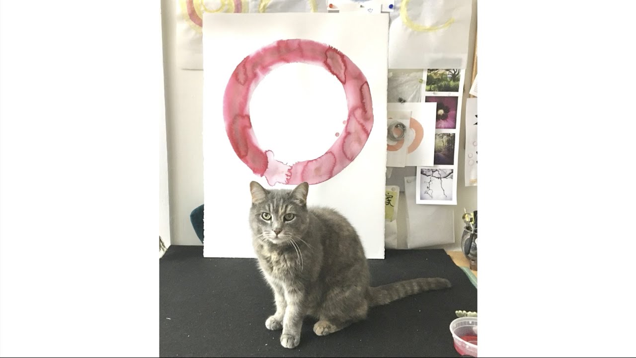 Monica DiGiovanni: Understanding Consciousness: Does It Really Matter?