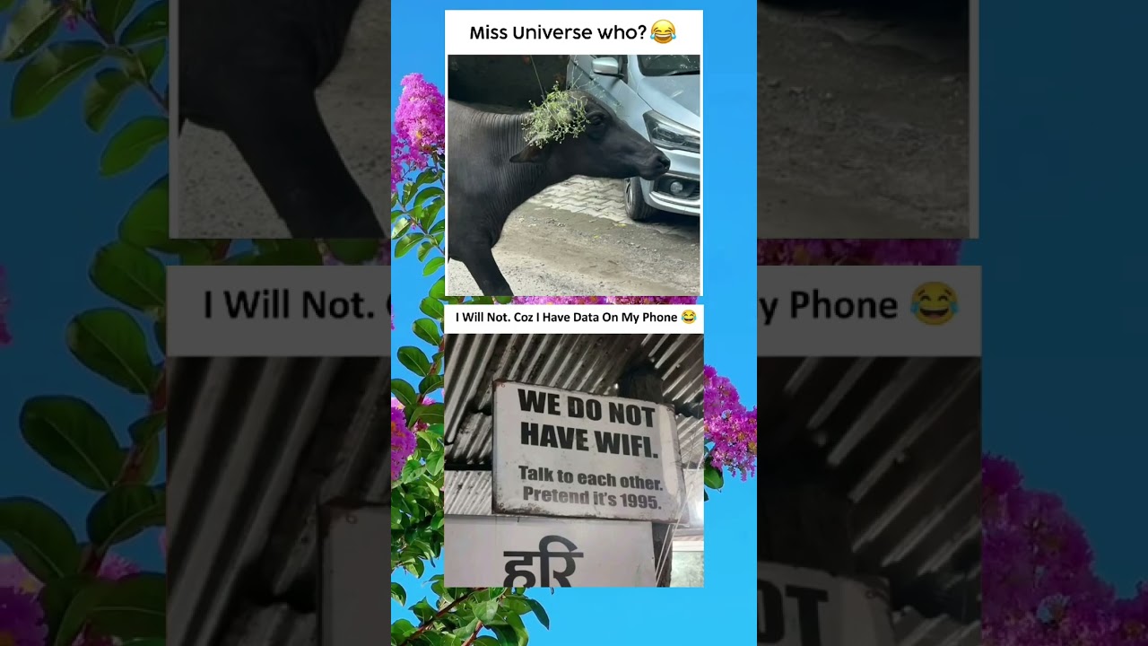 Instant laughter alert 🚨😂 