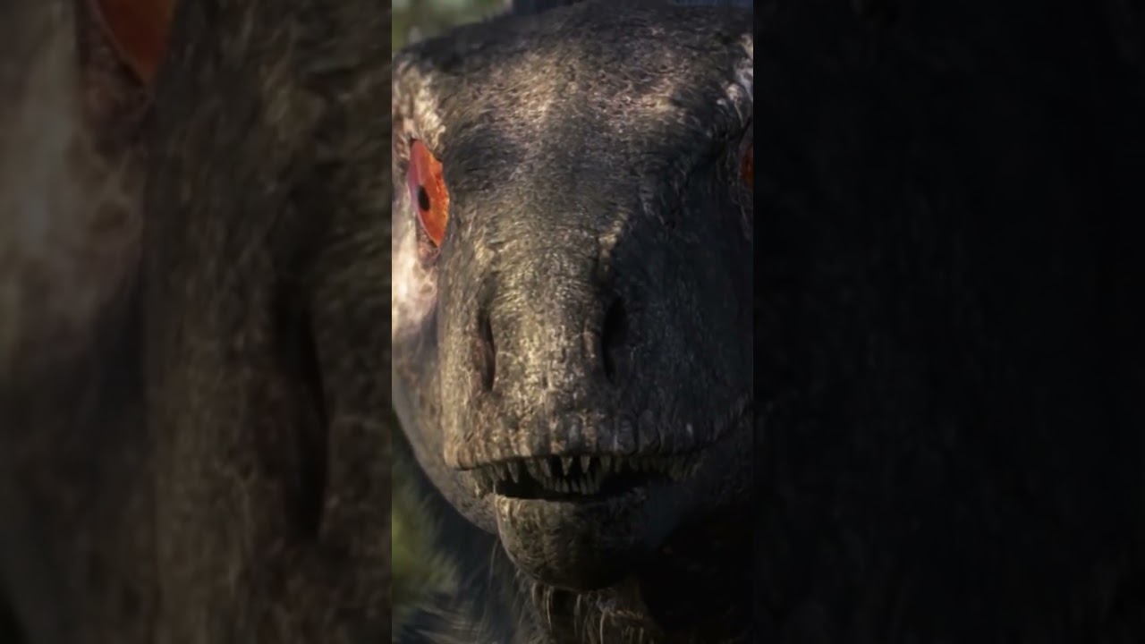 Dinosaur hunting in the forest | March Of Dinosaurs | 