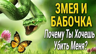 Психология НЕУДАЧНИКА! Мудрая Притча о Зависти - 