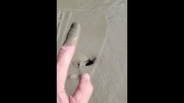 Finishing Concrete | When NOT To Start #Shorts