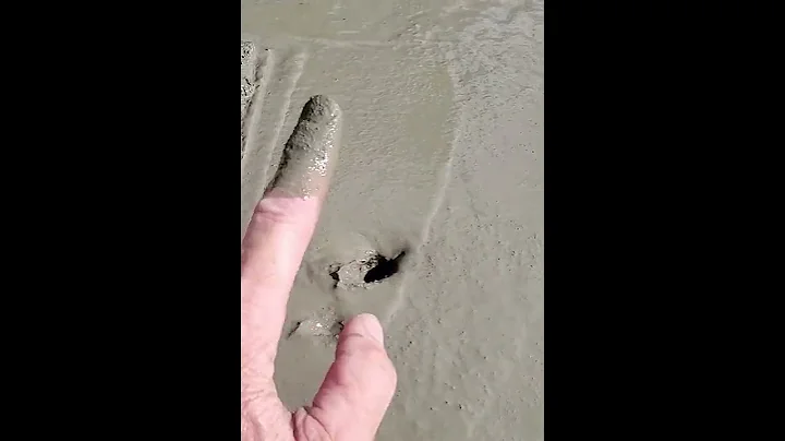 Finishing Concrete | When NOT To Start #Shorts