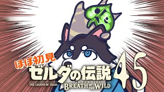 【はじめてのゼルダの伝説】＃45　使われないコログの実がポケットにぱんぱん【BotW】