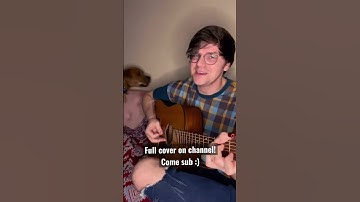 Thumbnail of Jimmy Eat World - The Middle (Acoustic cover by Colin and his dog)