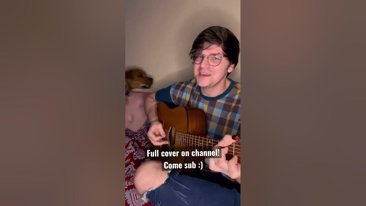 Jimmy Eat World - The Middle (Acoustic cover by Colin and his dog)