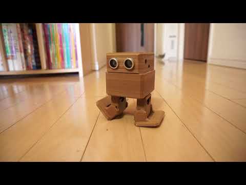 OTTO DIY Robot Programming
