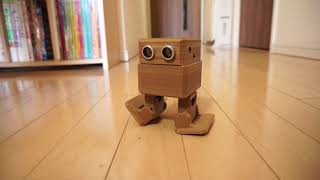 OTTO DIY Robot Programming