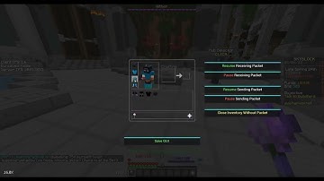 Hypixel Skyblock Dupe Mod May 2022 UNPATCHED