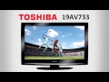 ЖК-телевизор Toshiba 19AV73