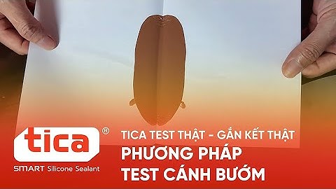 TICA TEST THẬT - GẮN KẾT THẬT | PHƯƠNG PHÁP TEST CÁNH BƯỚM