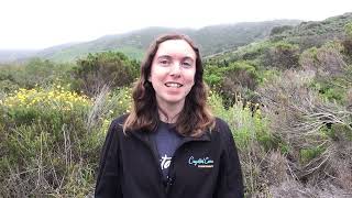 Module 7 Launch Video 3