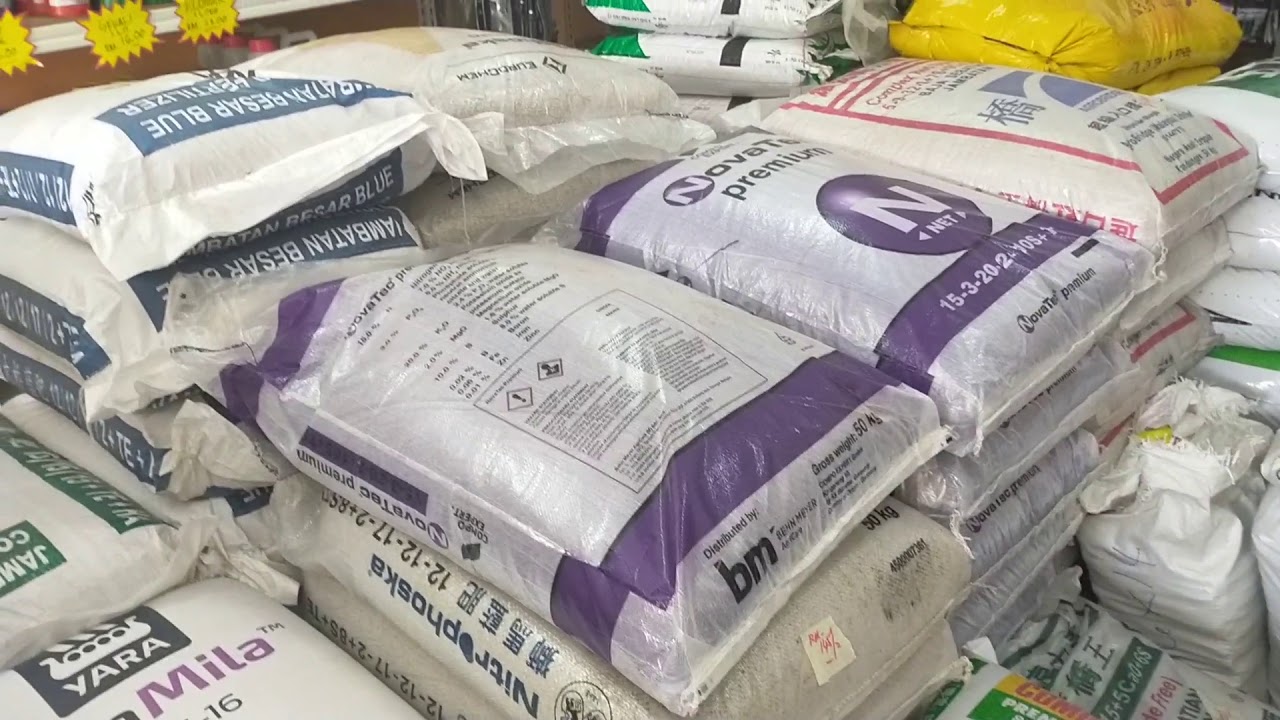 RACUN ULAT 🐛🦠SEKALI PAKAI MATI SEMUA!!👍