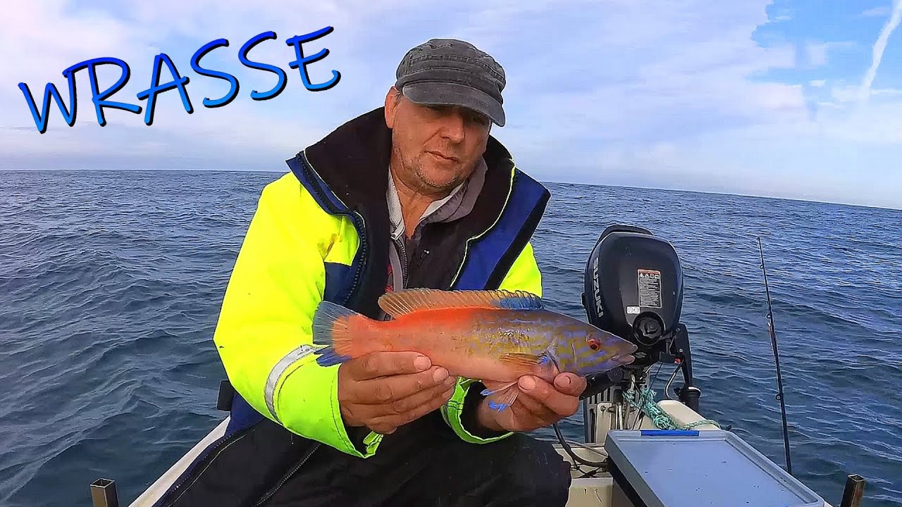 Губан — руководство по ловле, филетированию, приготовлению и снастям