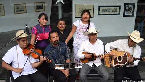 Pluralia Ediciones. Poetas indgenas. Celerina Sanc...