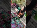 الأغاني الشعبية أريام شادي الأغاني الشعبية أريام شادي