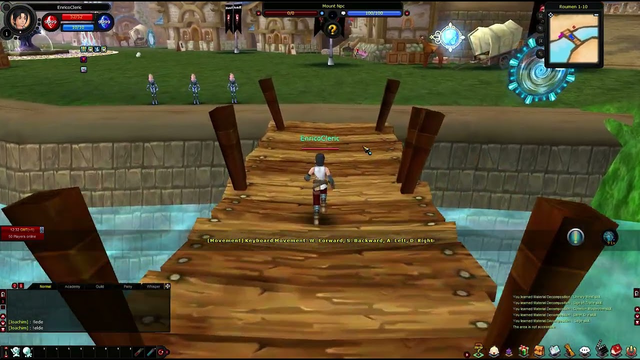 Fiesta Online:RE  Private Server Deutsch Vorstellung 2023 September