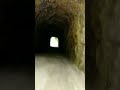 Austinville tunnel #NewRiverTrail #happyfuntime #StephenF.Austin #Texas #SFASU