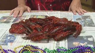 Gator by the Bay is San Diego's biggest Louisiana-themed festival