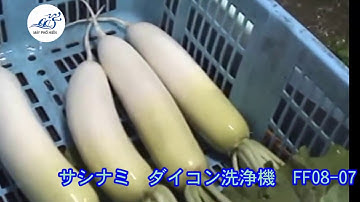 Máy rửa củ cải. Công nghệ sau thu hoạch Nhật Bản. Máy rửa rau củ quả, giữ nguyên lá.